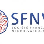 logo SFNV